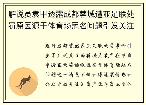 解说员袁甲透露成都蓉城遭亚足联处罚原因源于体育场冠名问题引发关注